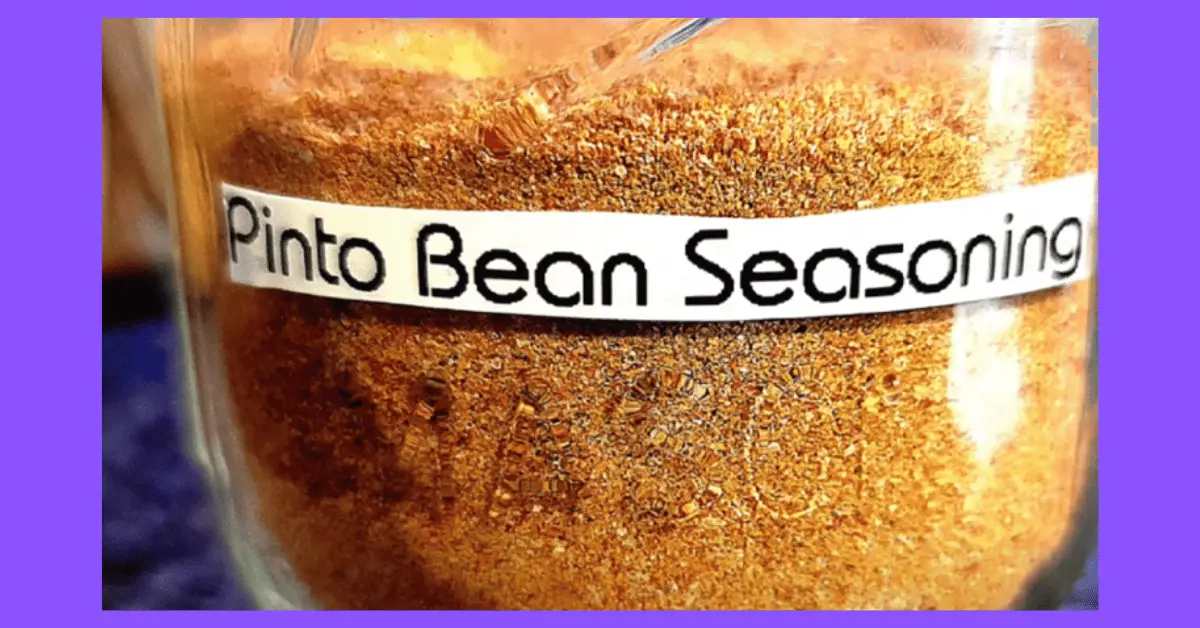 Pinto bean seasoning