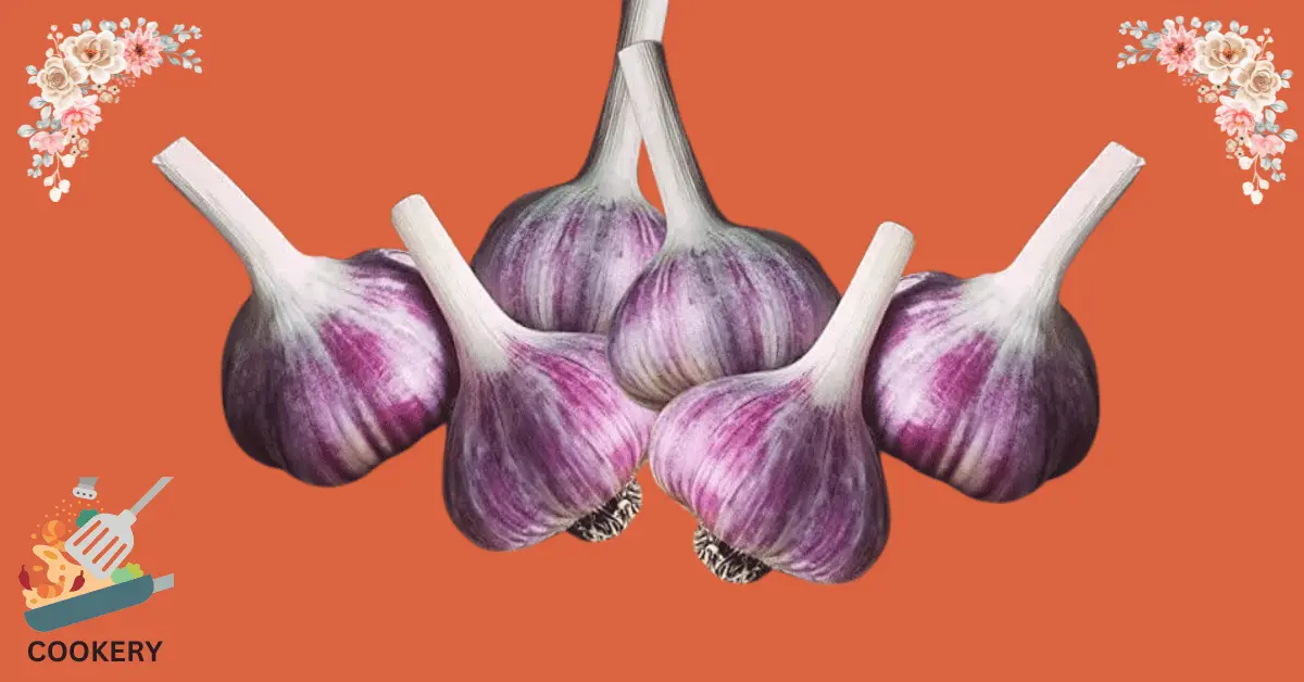 Purple Garlic